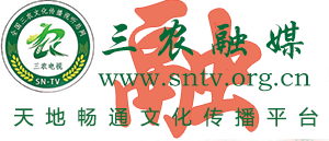 三农融媒   三农电视