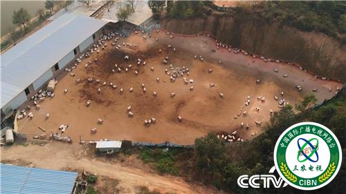 [致富经]一个习惯 年卖千万 他让财富满山跑 20190314 