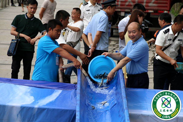 市民放流珍稀鱼类.png