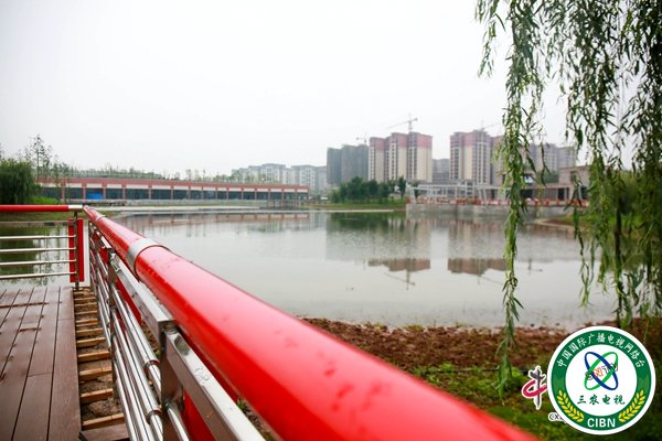 公园初具雏形.jpg