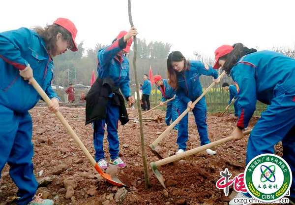 齐心协力植新绿.jpg