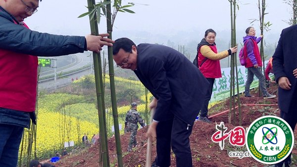 翠屏区委书记曾从钦带头植树.jpg