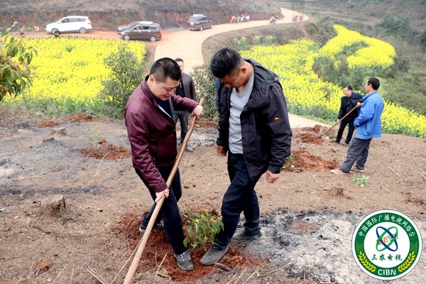 植树活动-13.JPG
