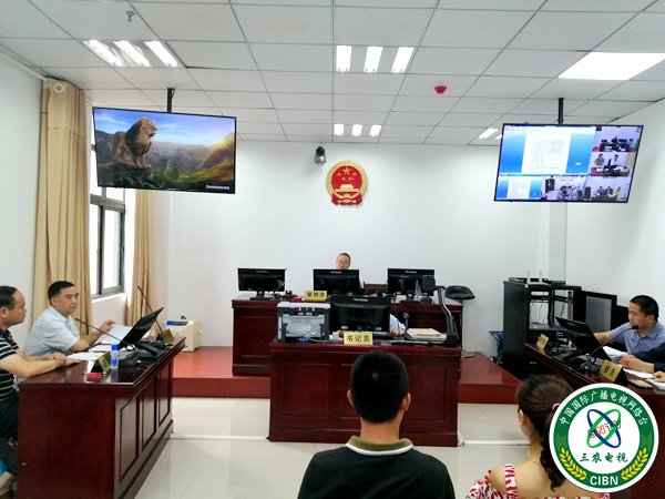 交通巡回法庭庭审现场（摄影 赵晨希）.jpg