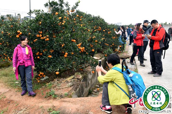 DSC_8833_副本_副本.jpg