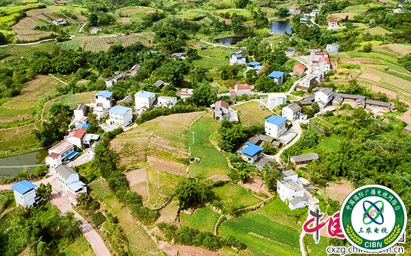 庙坝镇易地搬迁居住地环境宜人（摄影-廖志全）.jpg