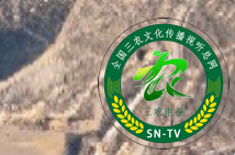 微信图片_20250105120108.png
