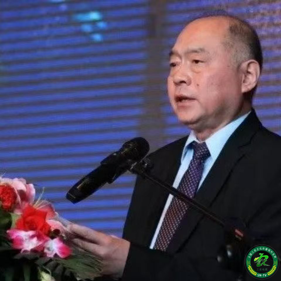4ab3211a010cdf6ce5ef79142581e0bd.jpg