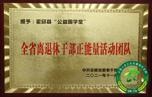 霍邱县公益国学堂、传承国学教育、提升文化素养(图7)