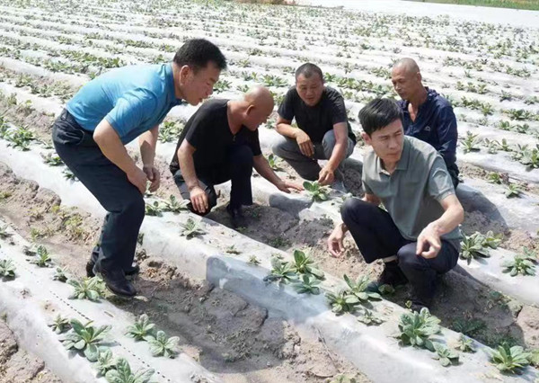 微信图片_20220722144245.jpg