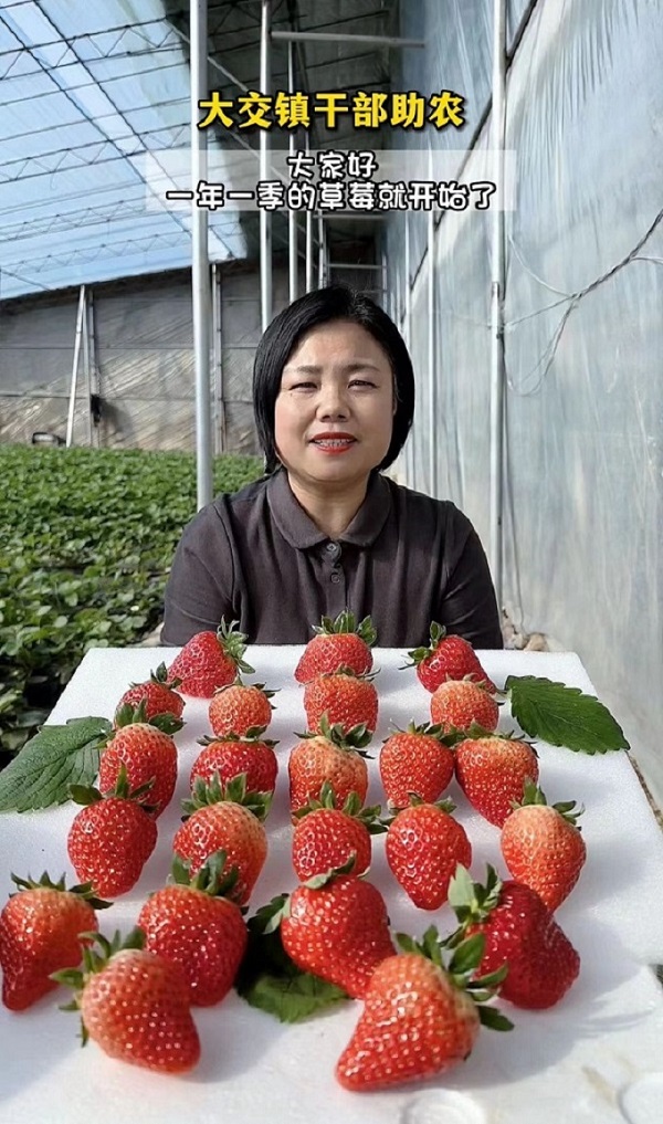 微信图片_20230208201439.jpg