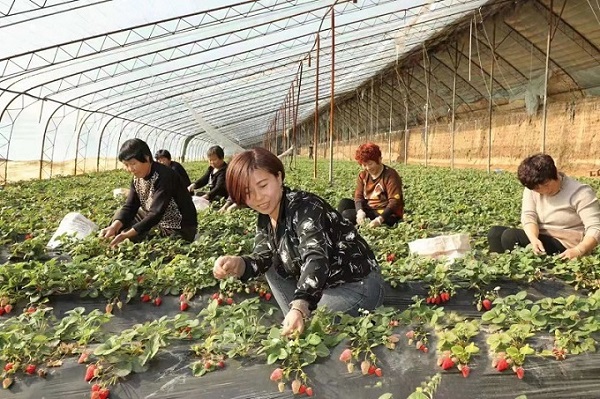 微信图片_20230208201514.jpg