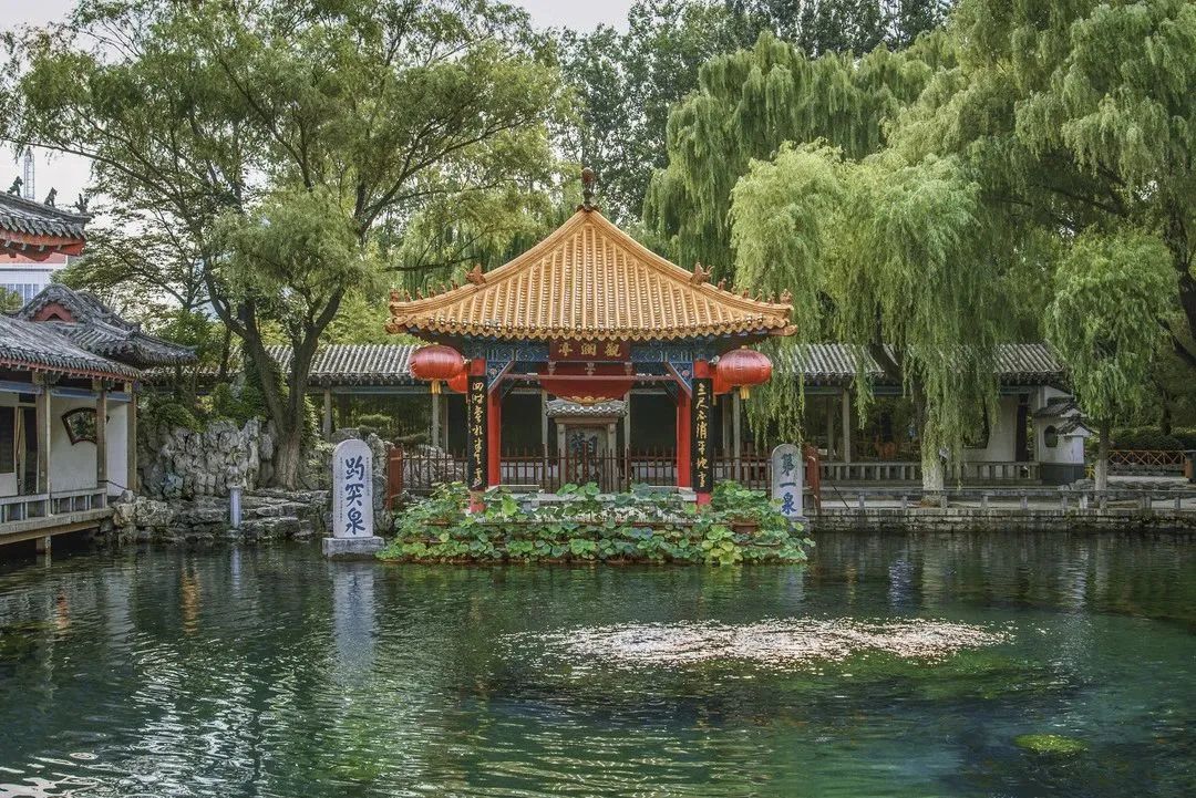 第十七届济南茶博会1.jpg