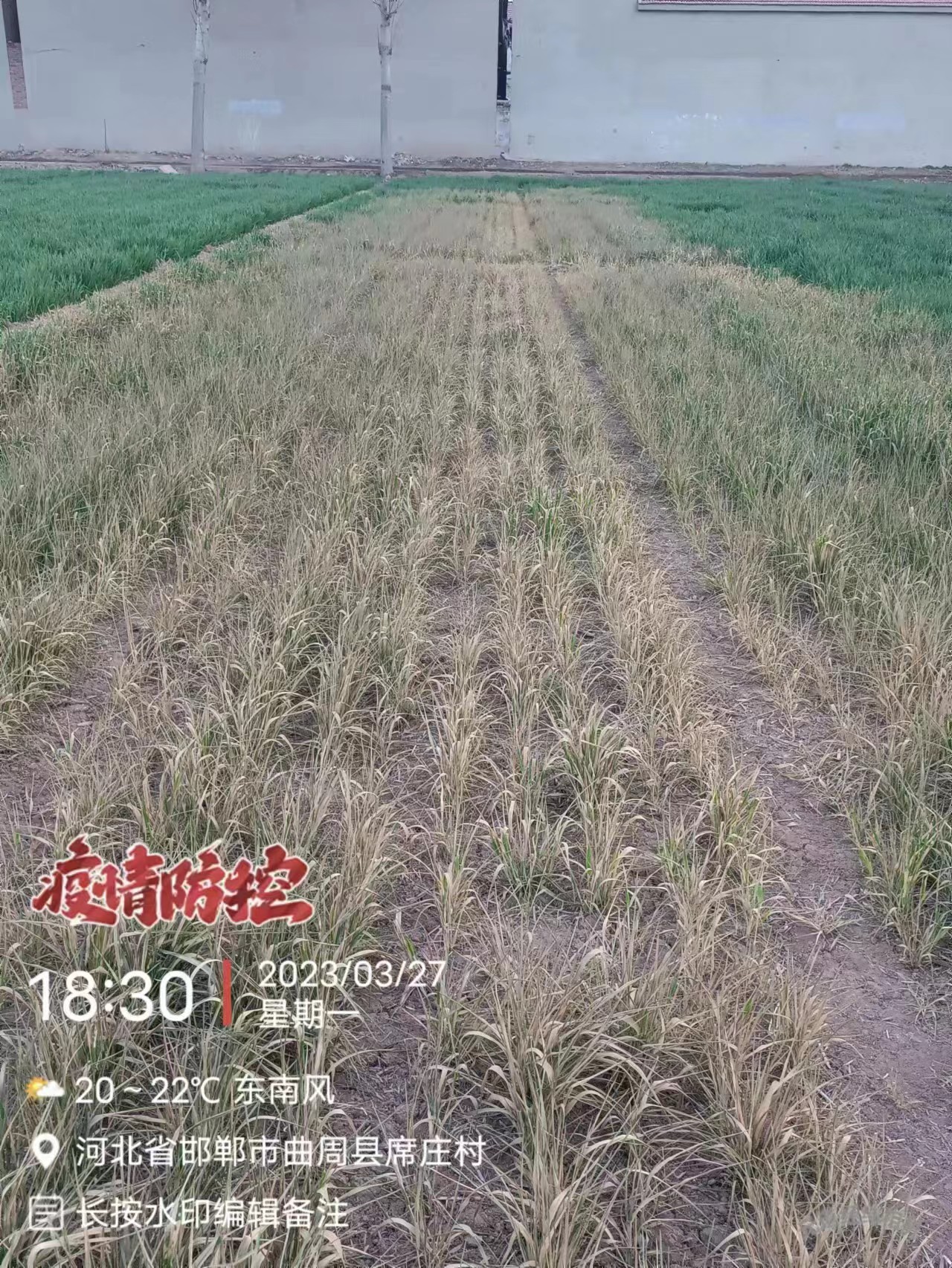 微信图片_20230805150207.jpg