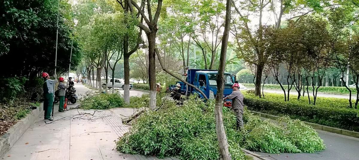 微信图片_20230825135104.jpg