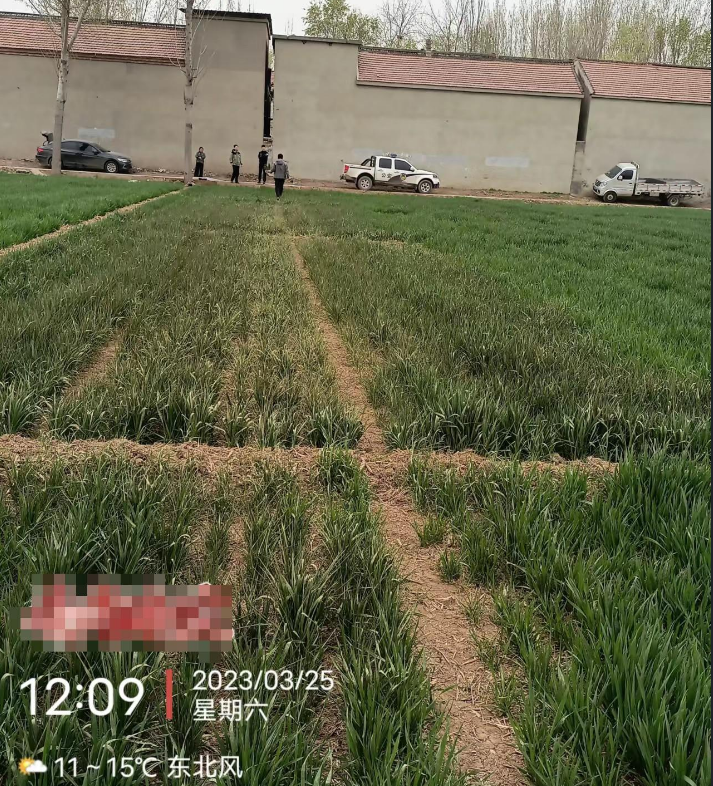 微信图片_20230828185023.png