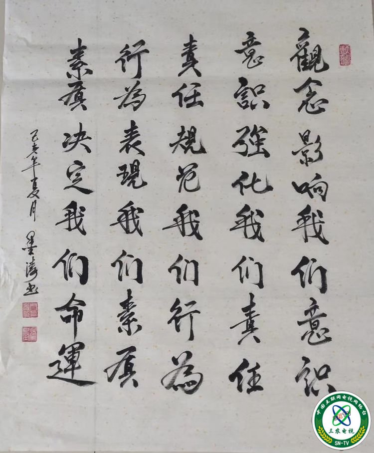 1594905950764181.jpg
