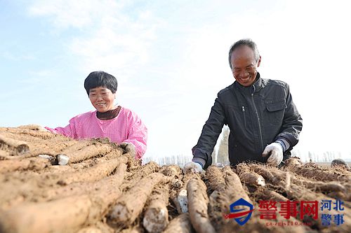 微信图片_20211111120704_副本3.jpg