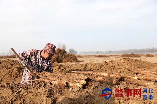 微信图片_20211111120659_副本2.jpg